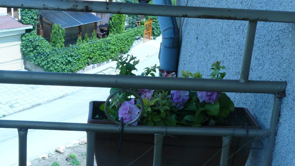 Geto Apartment Belogradtschik Exterior foto
